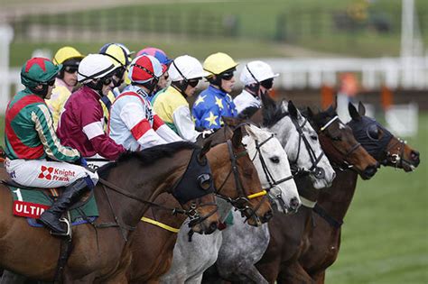 cheltenham favourites horse to win.